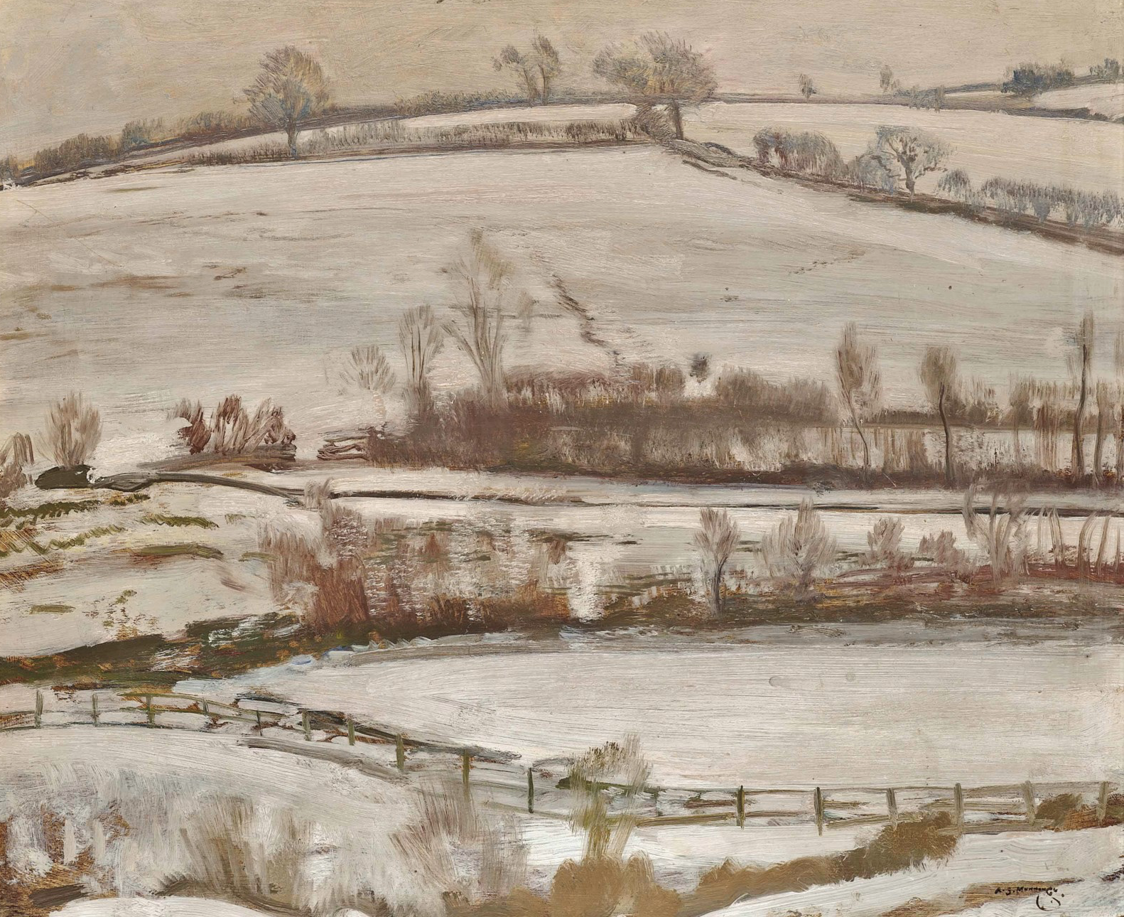 Snowy fields